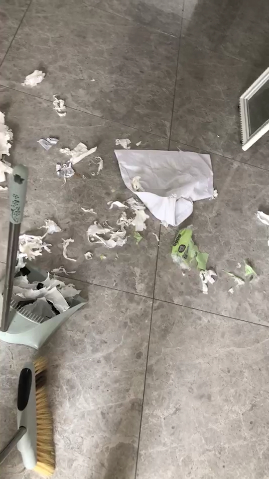 论狗肉汤的做法