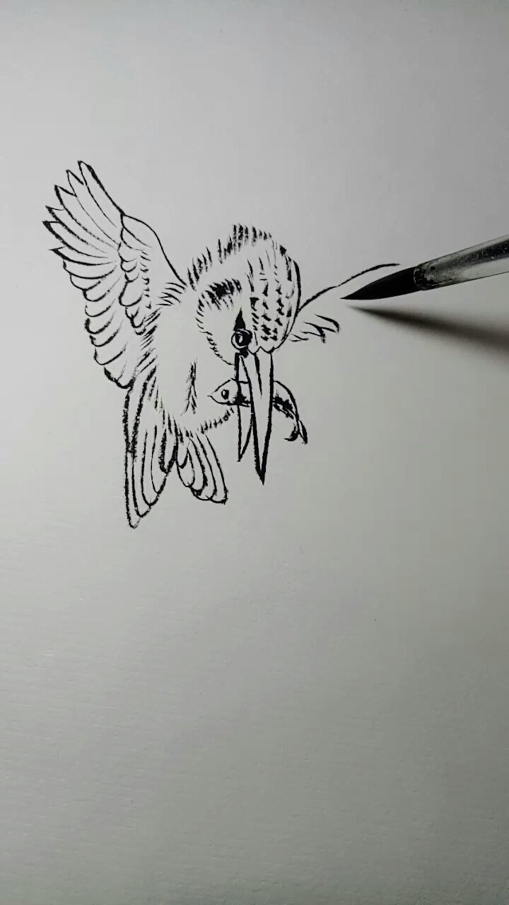 #你喜欢的样子我都有#捕鱼能手,翠鸟白描画法