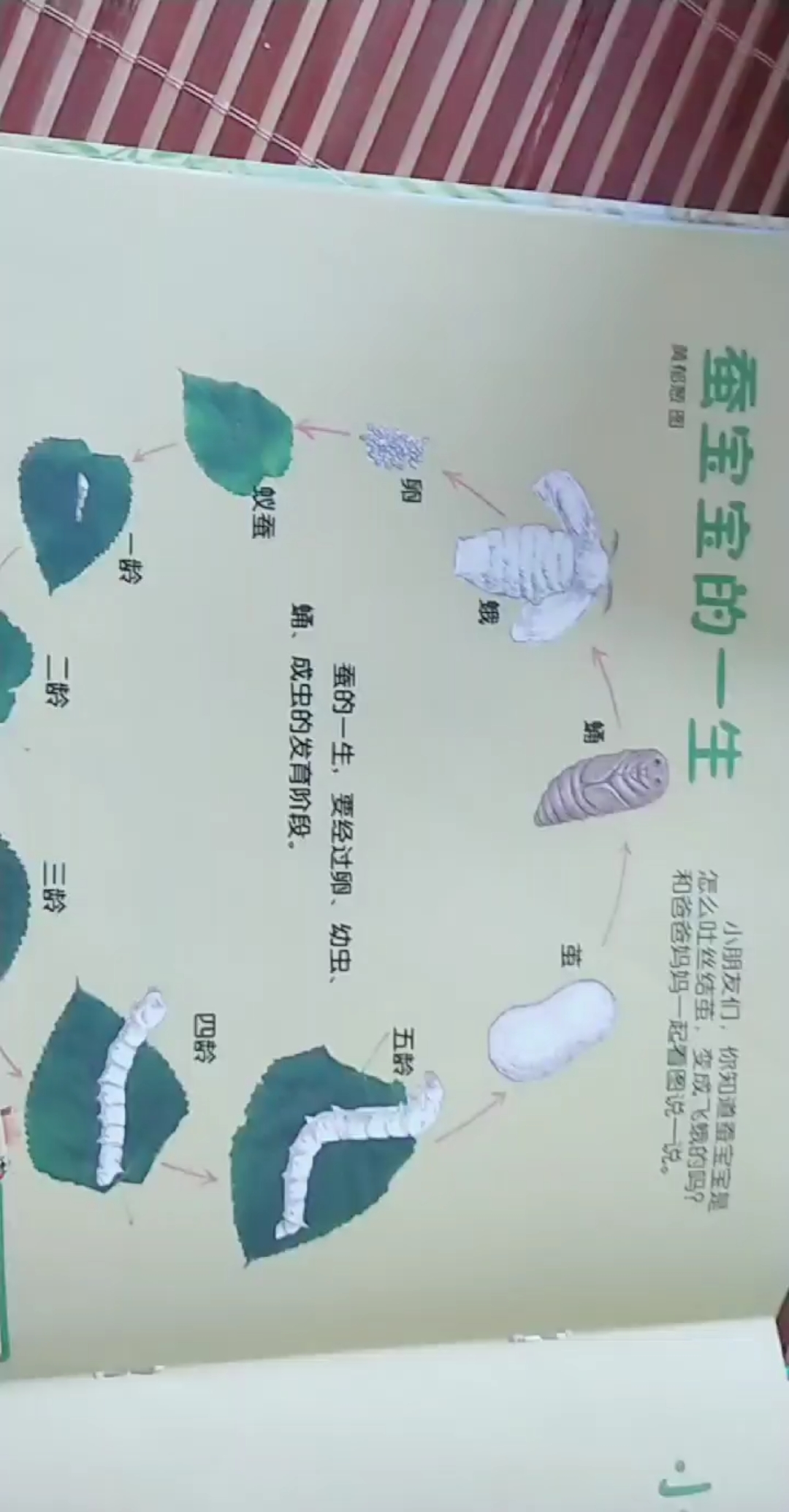 #吃瓜群众#