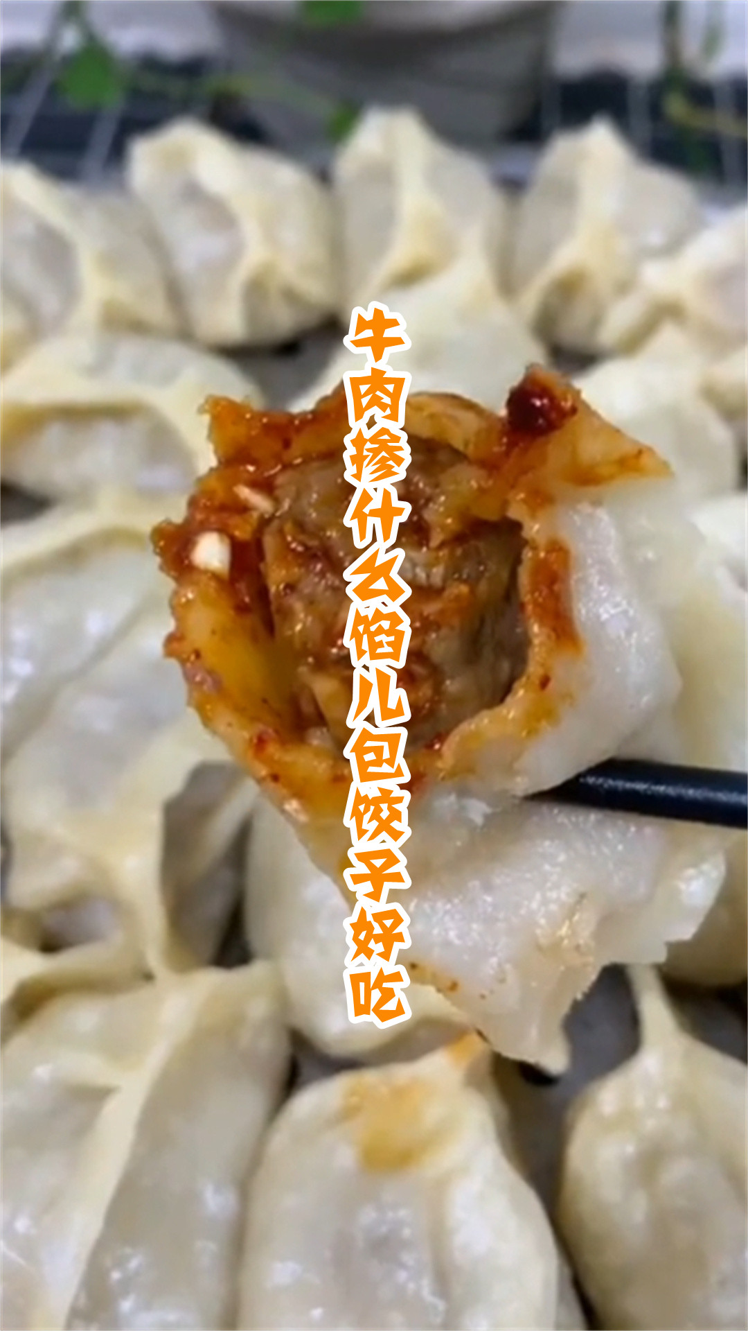 牛肉掺什么馅儿包饺子好吃
