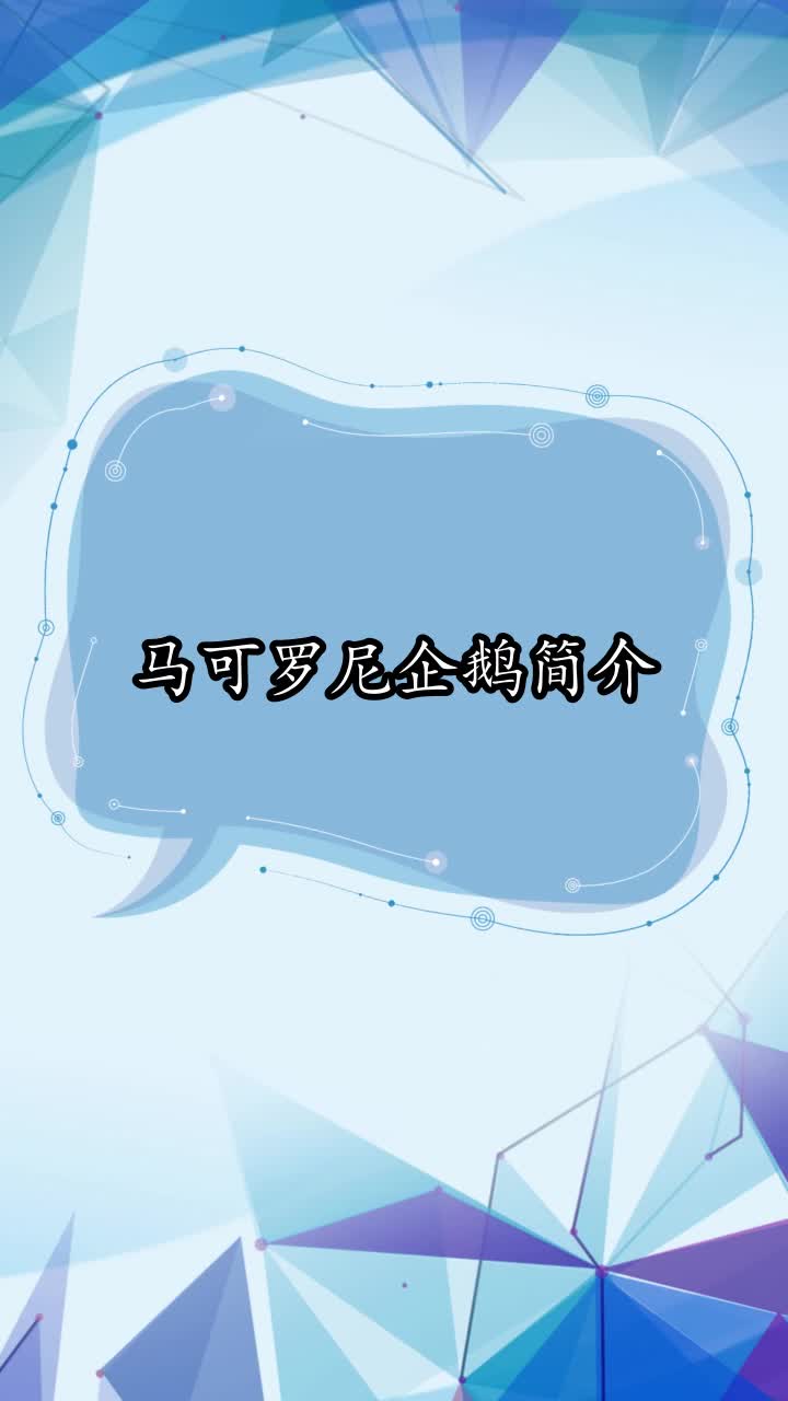 马可罗尼企鹅简介,你了解了吗