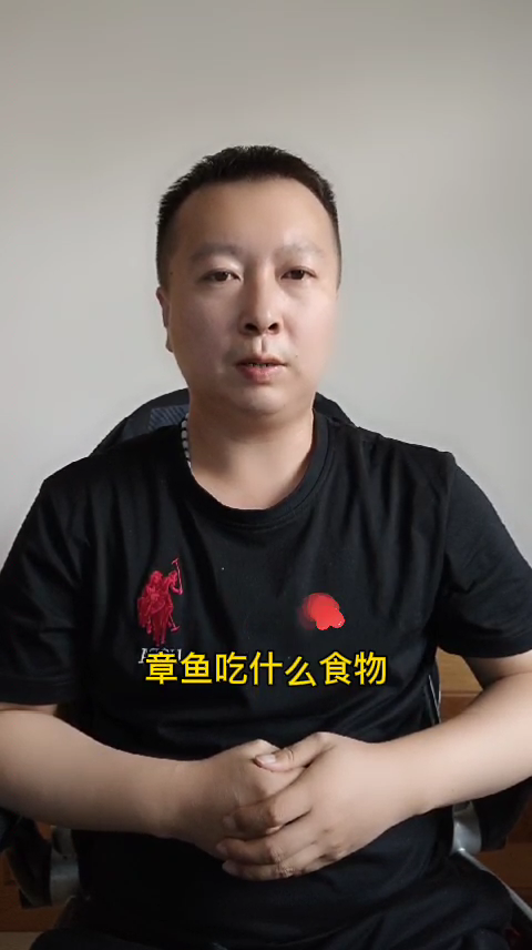 章鱼吃什么食物 