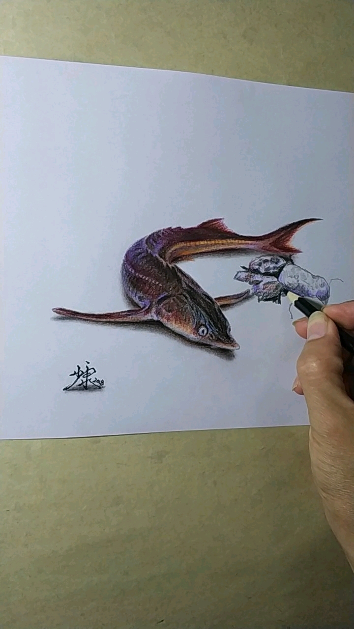 #欢乐幸福年#彩铅画鱼过程3