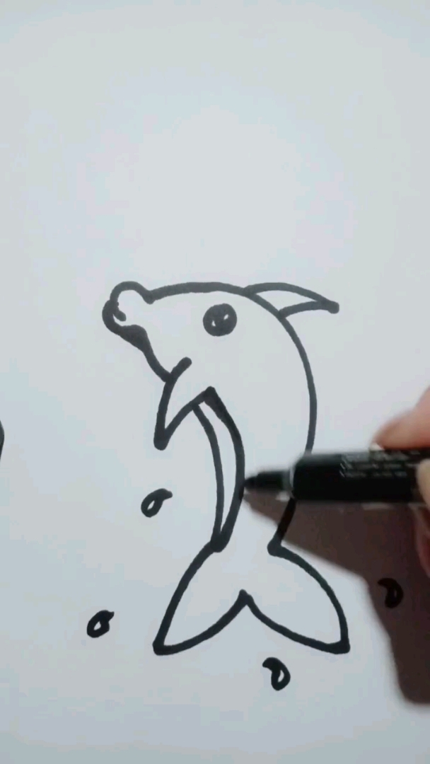 小鲸鱼