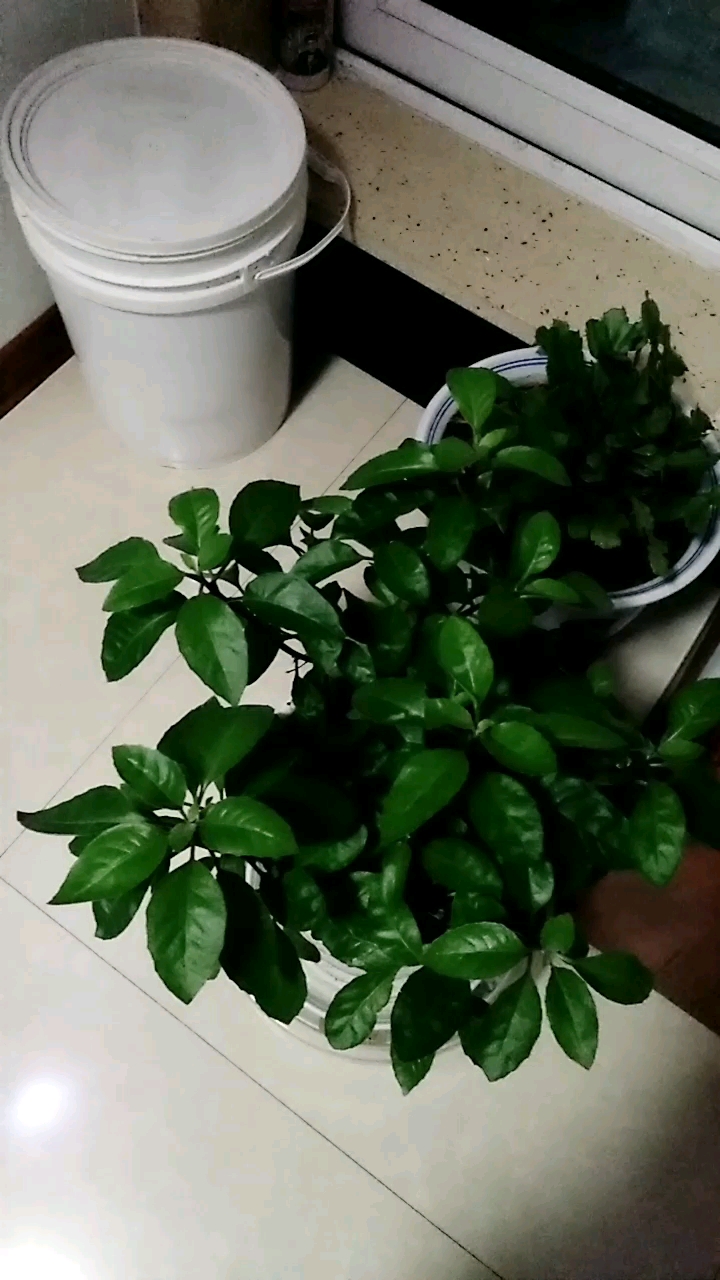 分享视频