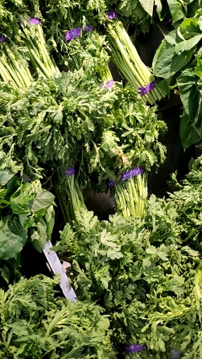 #菜#各种各样的蔬菜