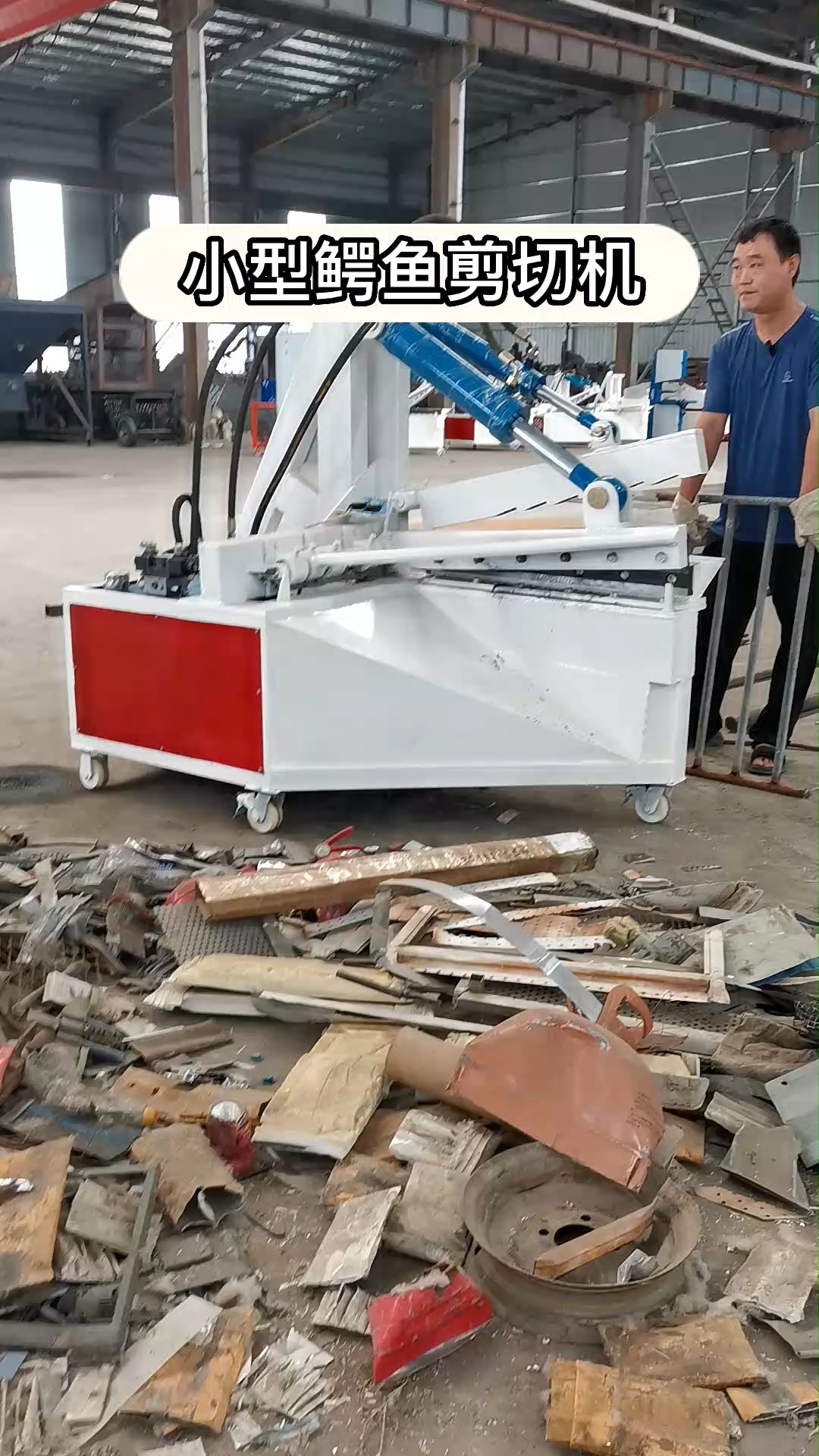 #鳄鱼剪切机#小型鳄鱼剪,你看看这效果!