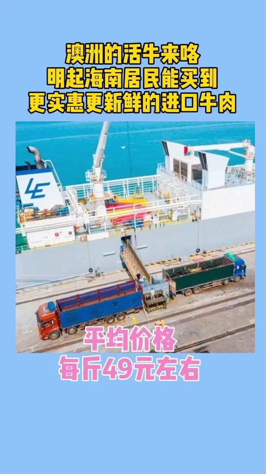 “零关税”澳洲牛肉到海南咯 #牛肉