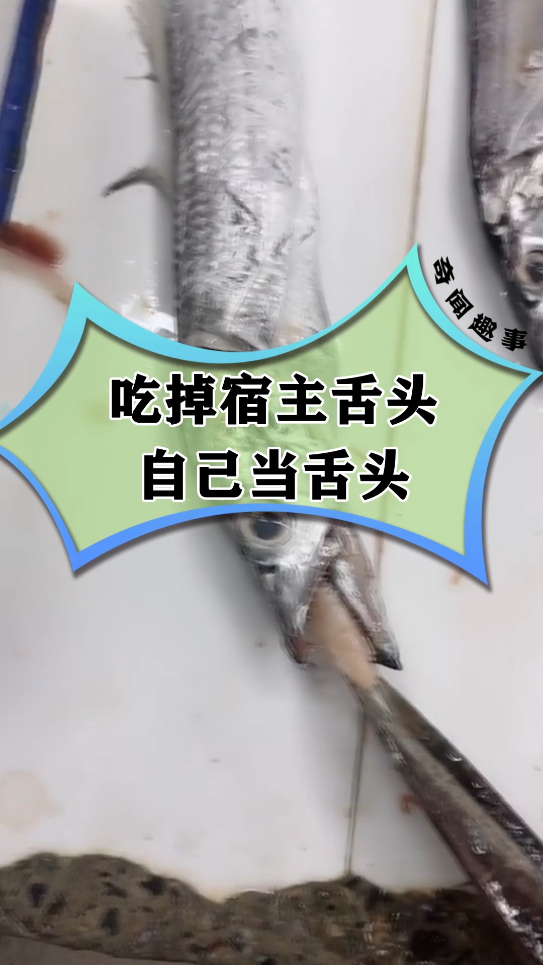吃掉宿主舌头自己当舌头,最恶心最可怕物种!