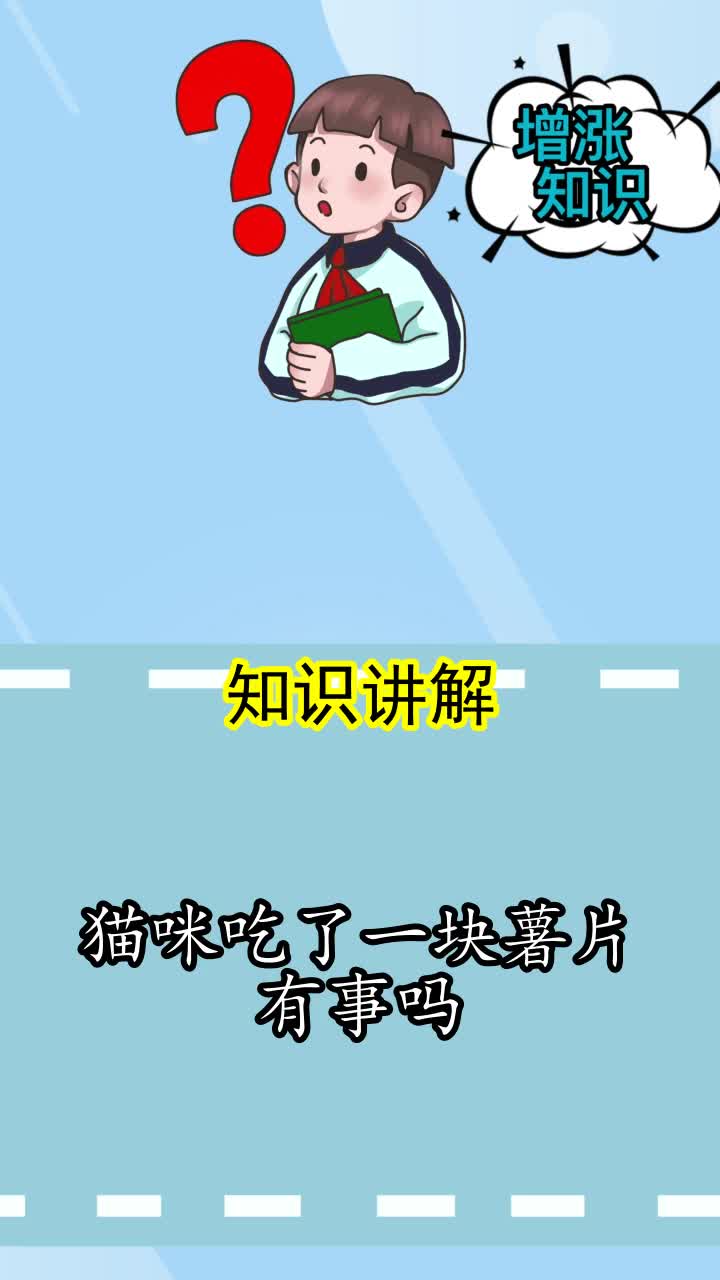 猫咪吃了一块薯片有事吗,你知道了吗