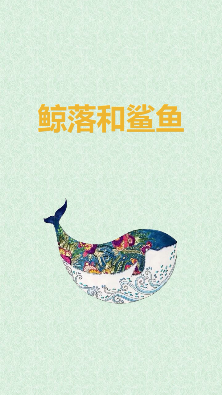 看完后 鲸落的美你震撼了,那鲨鱼的“浪漫”你知道是什么吗?评论区告诉你答案~