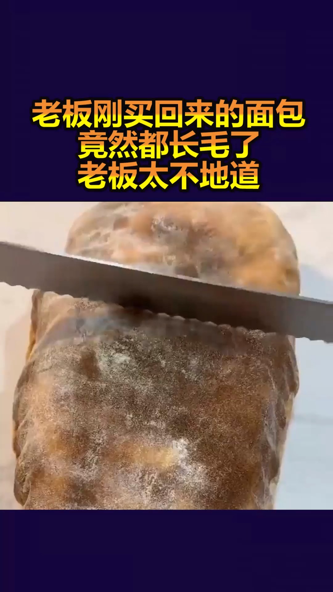 #我要上热门#老板刚买回来的面包,竟然都长毛了,老板太不地道!