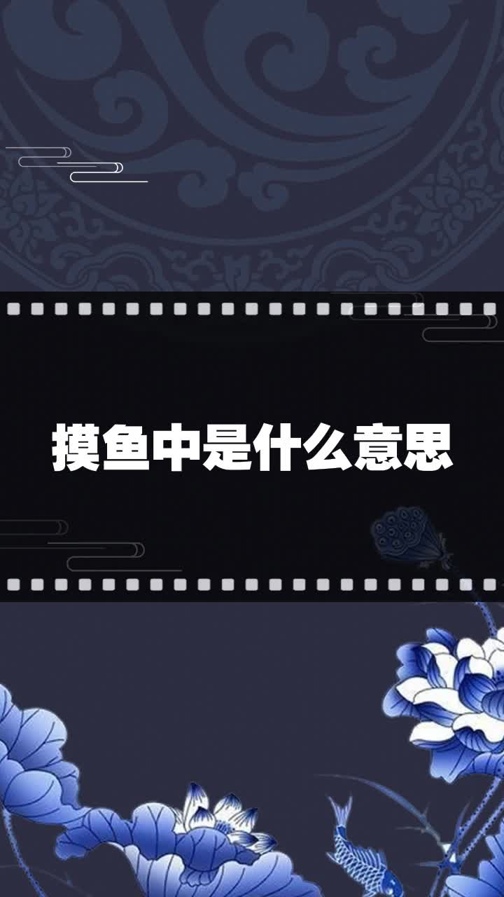 摸鱼中是什么意思