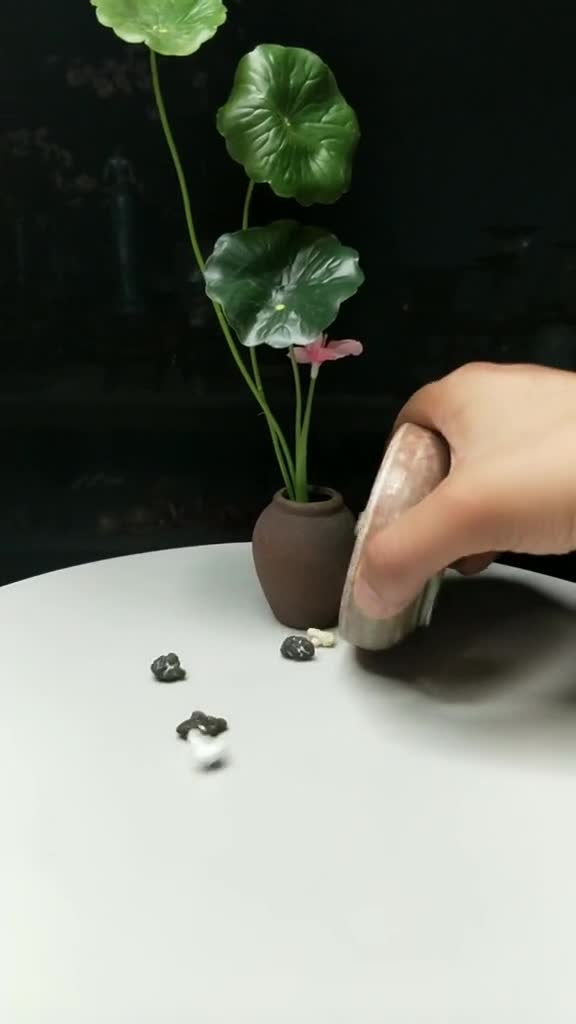 意境菜就是讲故事的菜,我把故事讲好了,剩下的你来做菜!!盘饰每日一更(八)