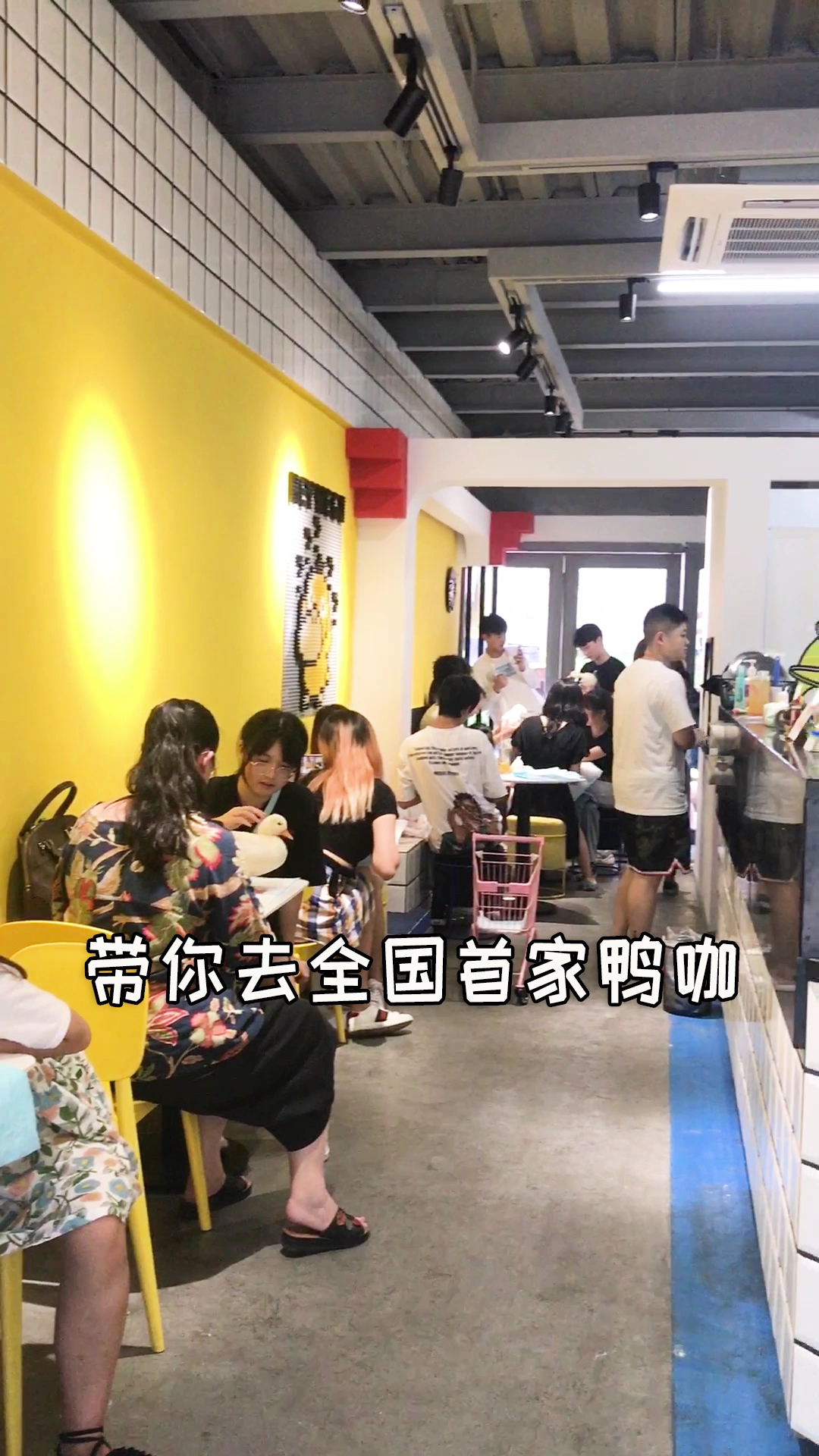 价值上万的思聪同款鸭鸭,你不来拍个表情包吗?