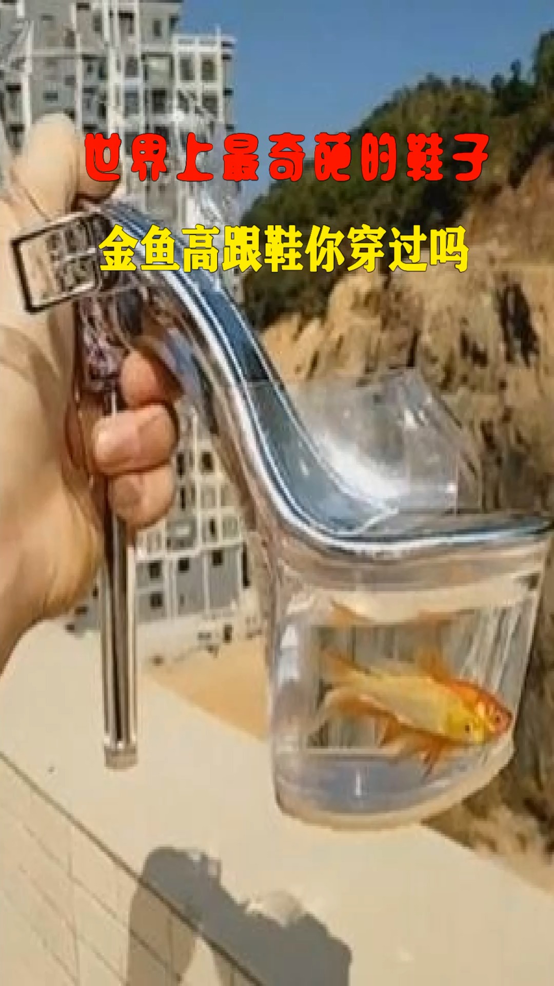 世界上最奇葩的鞋子