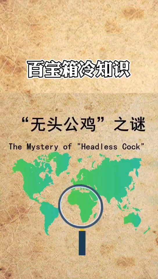 一个冷知识