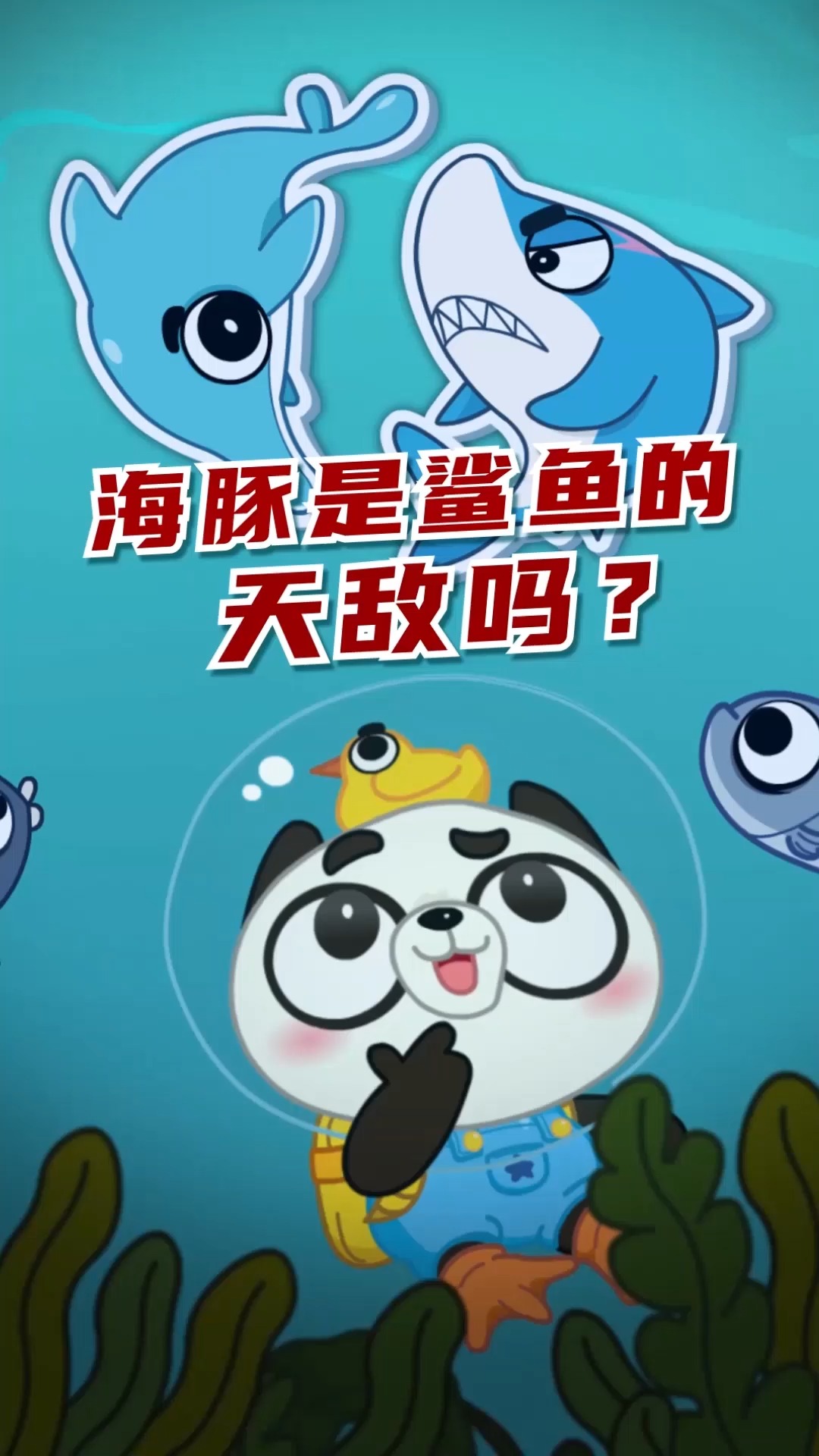 #动物世界#海豚vs鲨鱼，智力和力量哪个更重要？