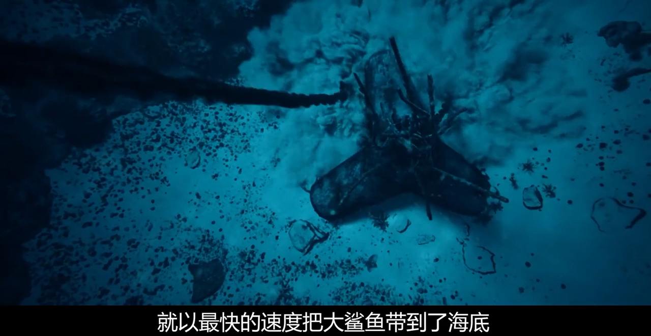 #全民小剧场#美女与大鲨鱼的生死搏斗