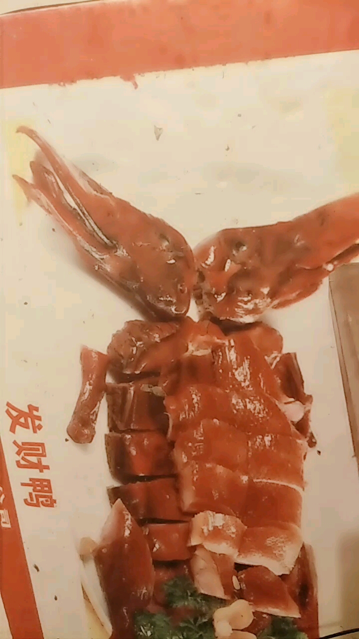 发财鸭