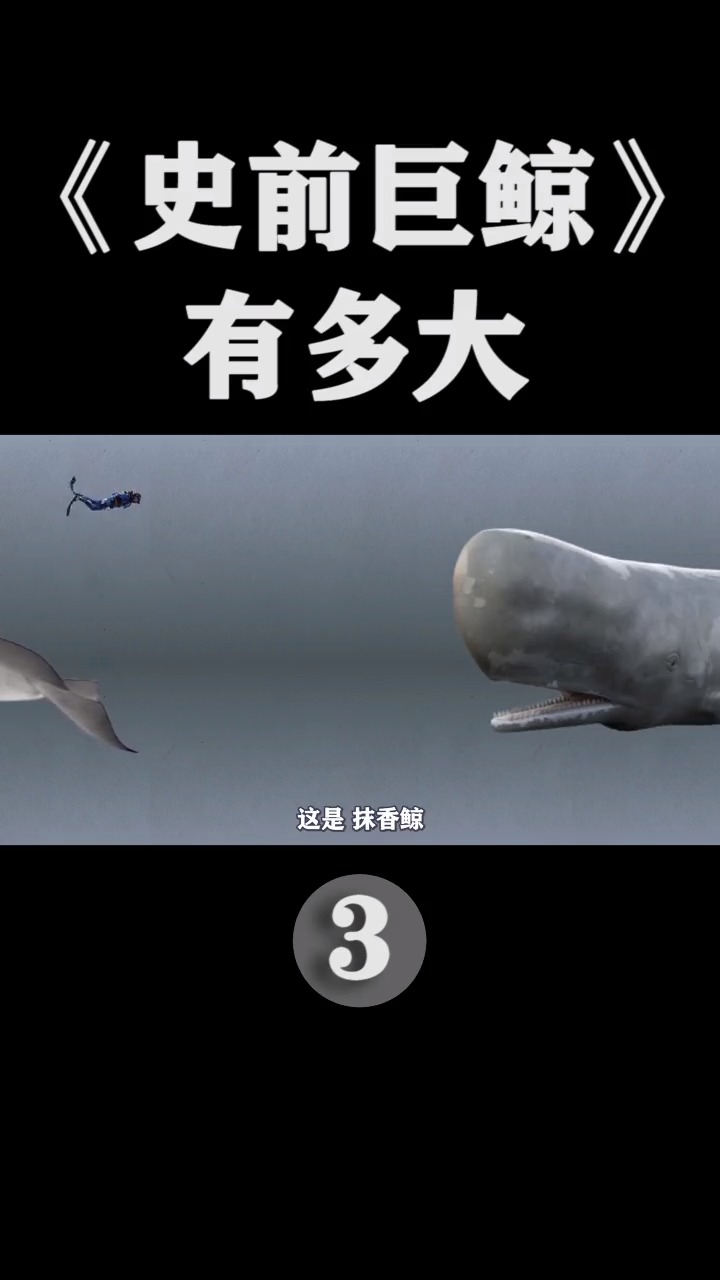 #奇闻趣事抢先看#人类目前探索到的“史前鲸鱼”竟是两栖动物!