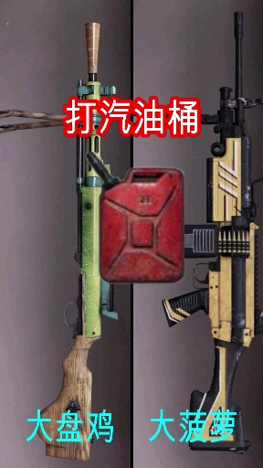 你们喜欢大菠萝还是大盘鸡呢