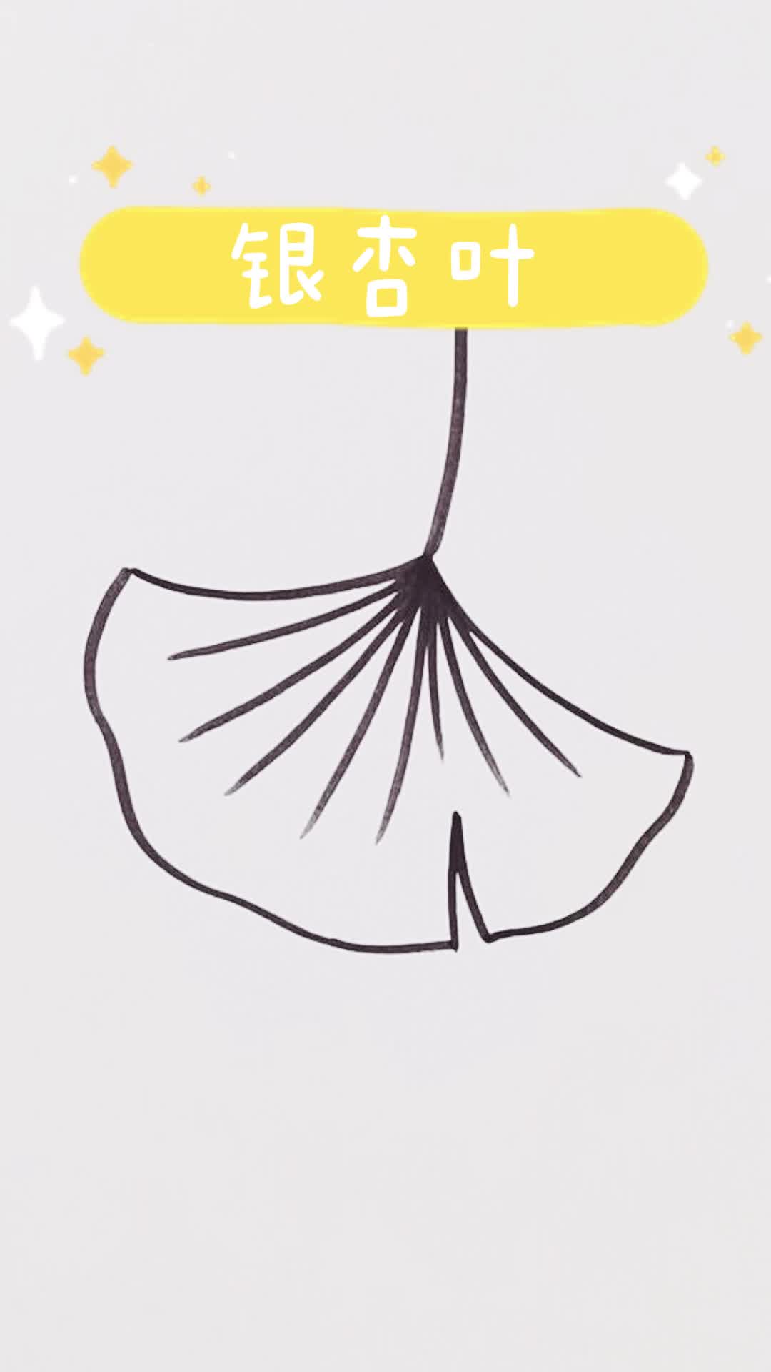 今天来画个简单的银杏叶!叶子简笔画!