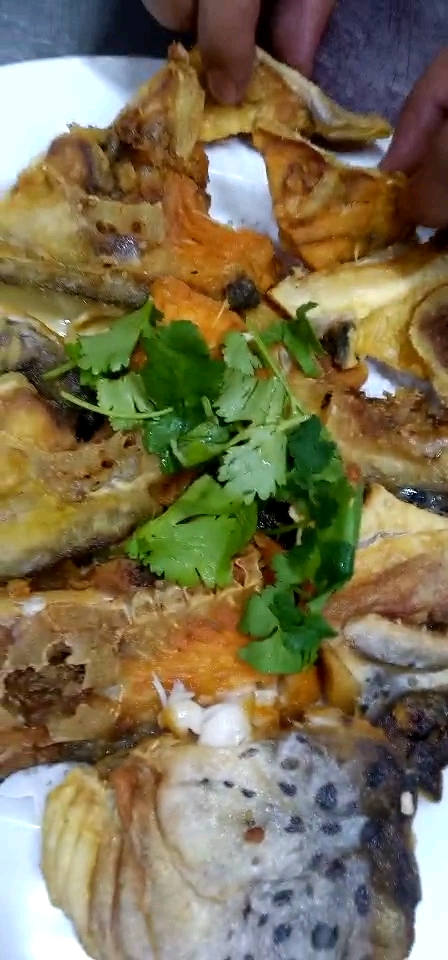 香煎三文鱼