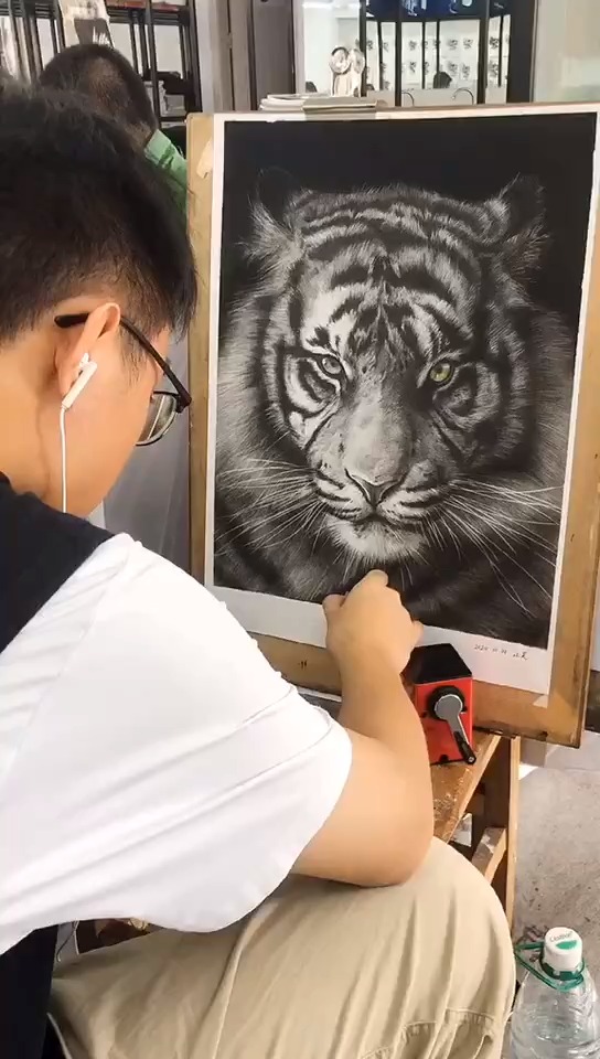 #画画#心有猛虎细嗅蔷薇,今天新鲜出炉,画室高二同学画的精微素描,一股老虎的气势扑面而来