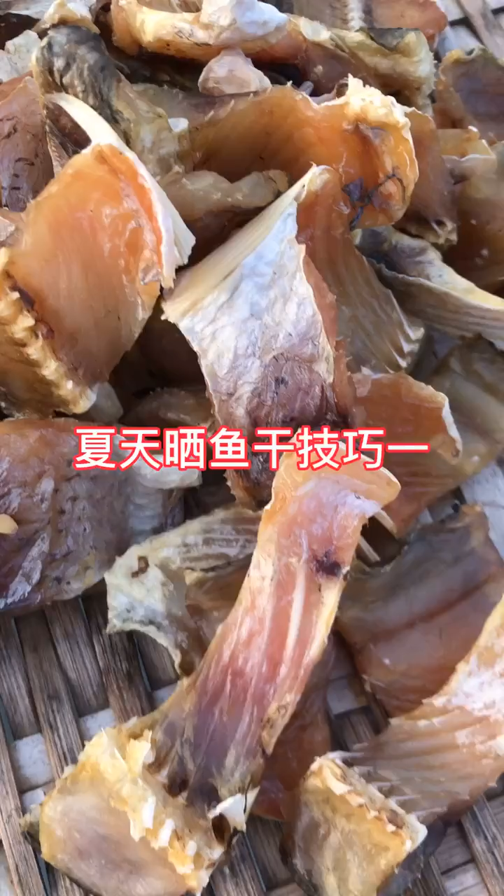 夏天怎么晒鱼干不会坏