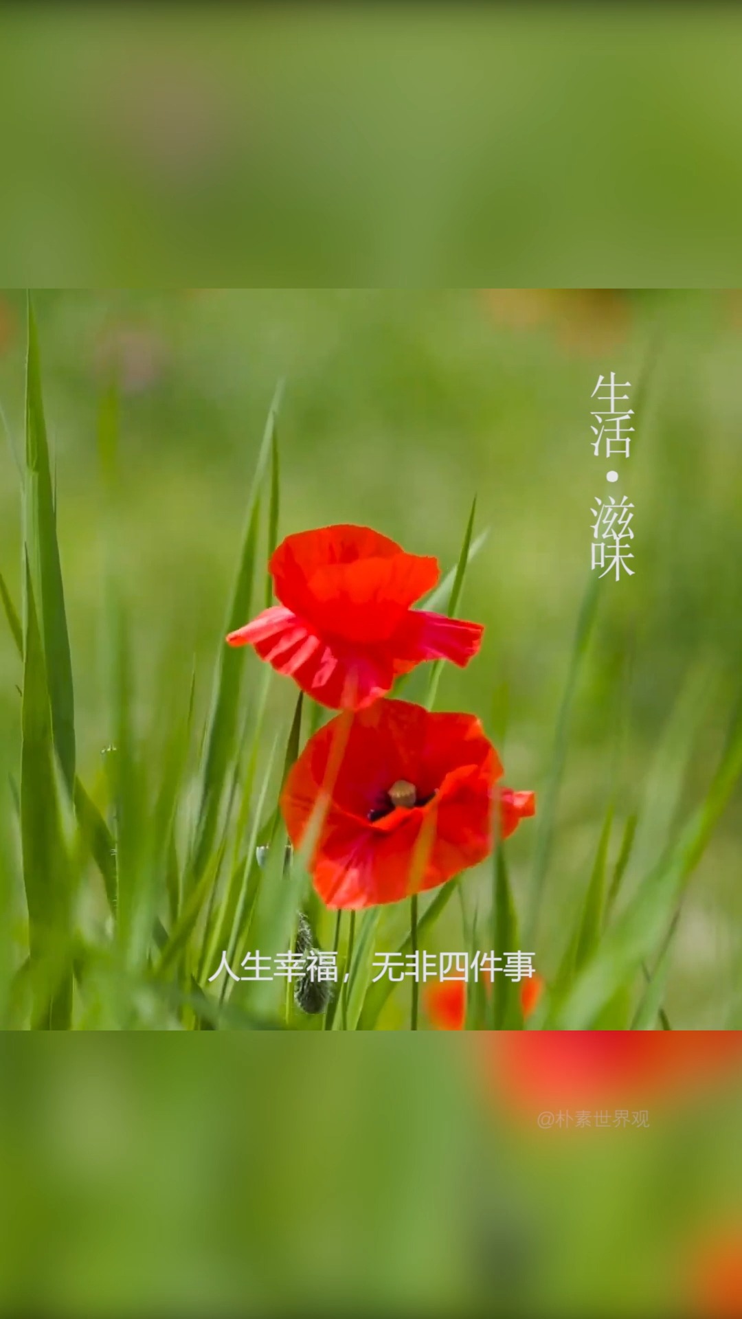 #记录美好生活#人生幸福,无非四件事:一是睡在自家床上;二是吃父母做的饭菜;三是听爱人说情