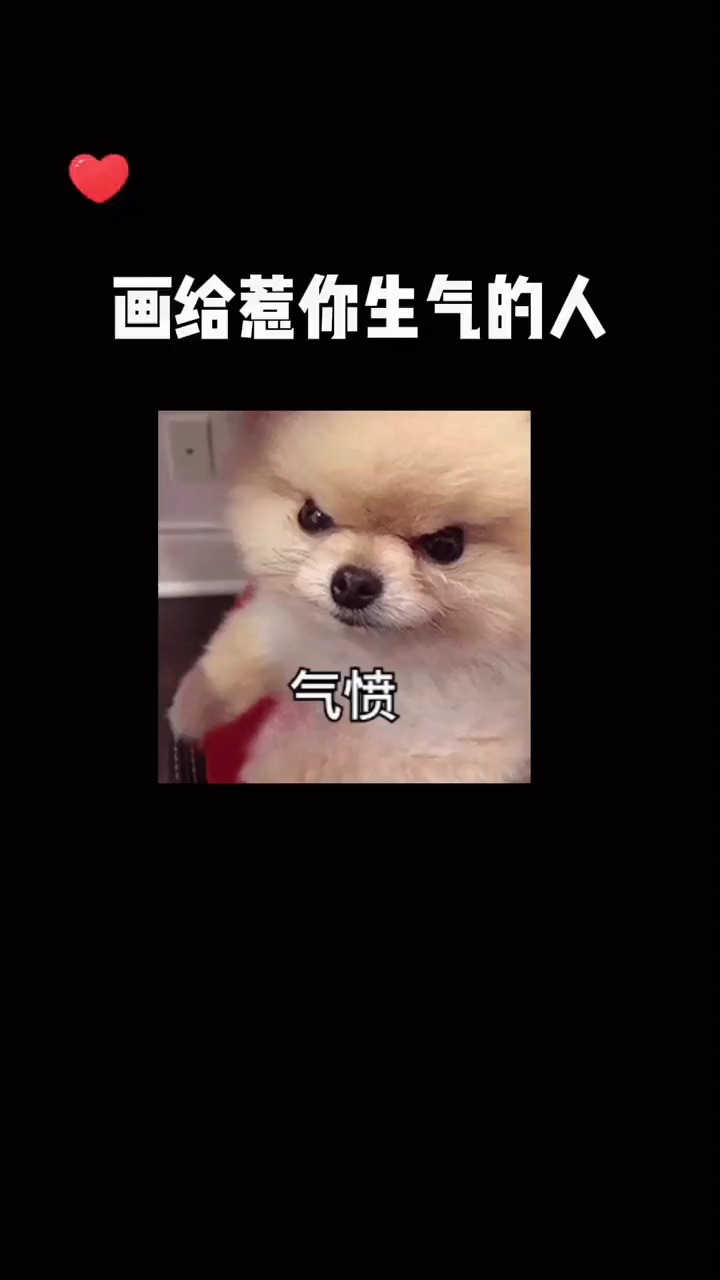 画给惹你生气的人!