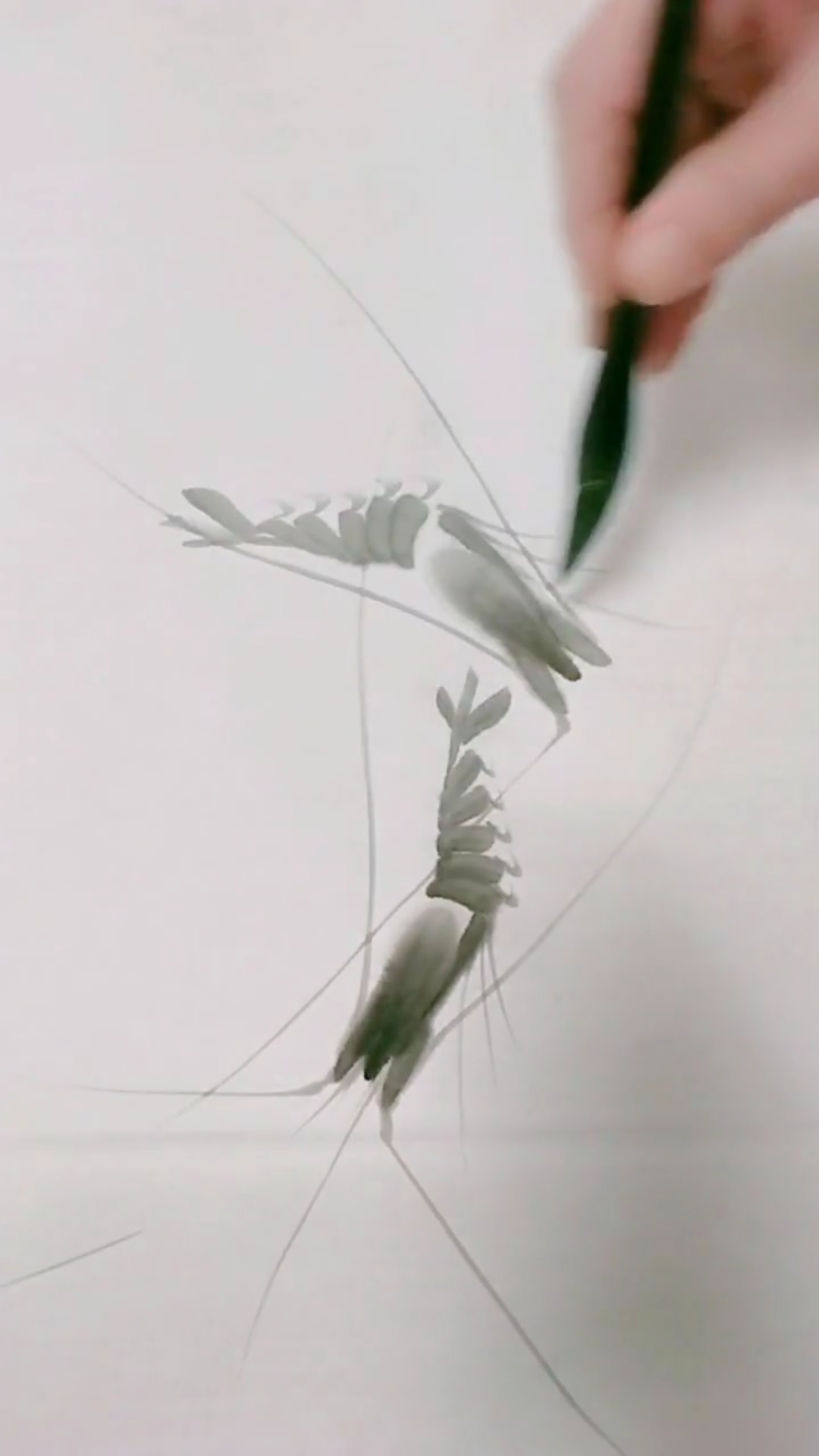 #我要上热门#画虾是国画里最基础的,想画好还是需要功力