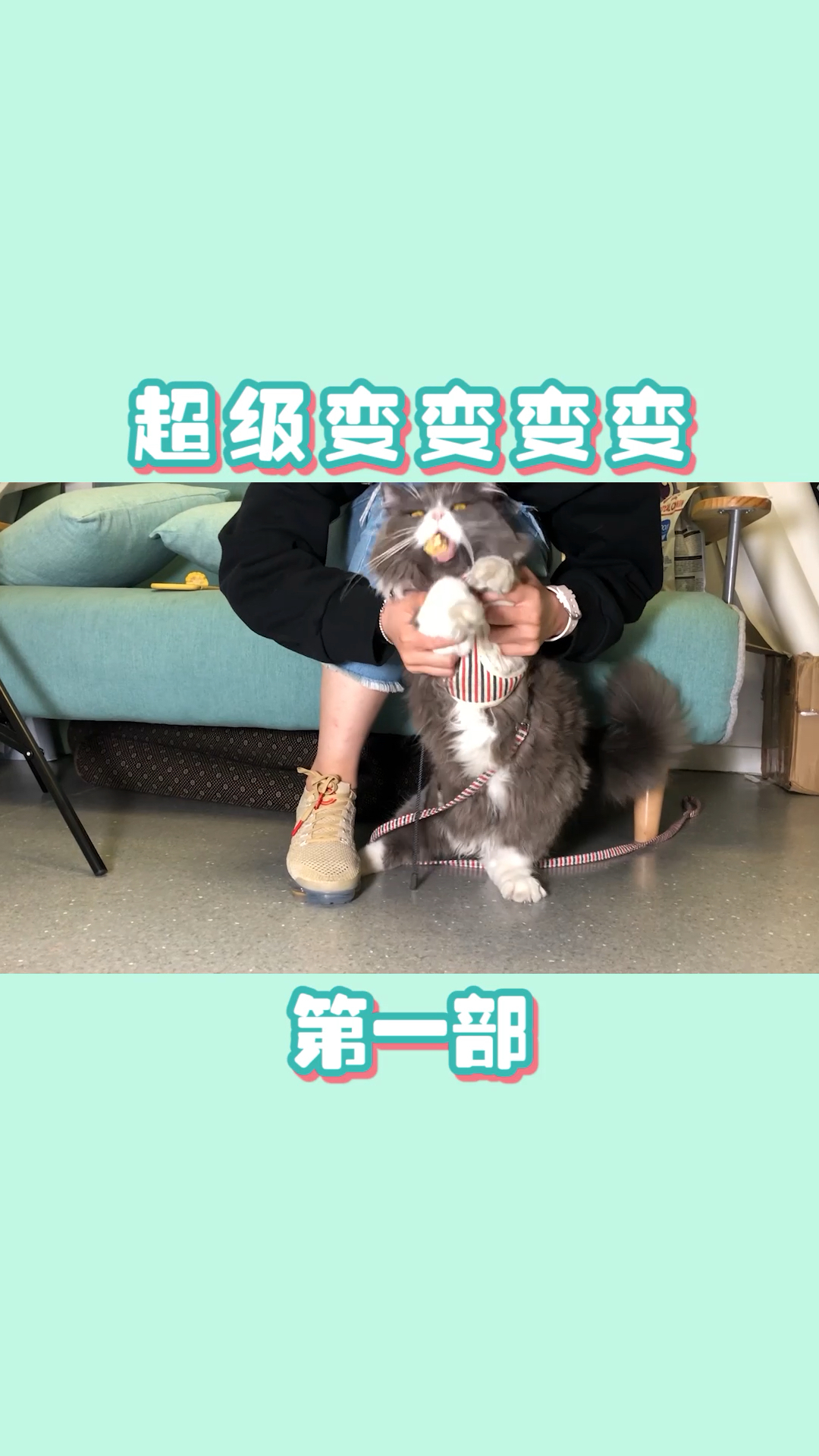 #我家萌宠成精了#超级变变变!