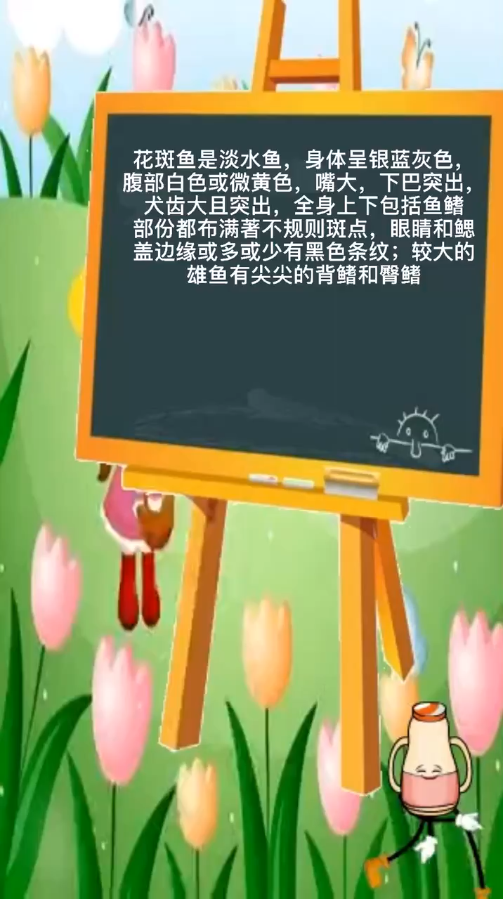 花斑鱼是海鱼还是淡水鱼