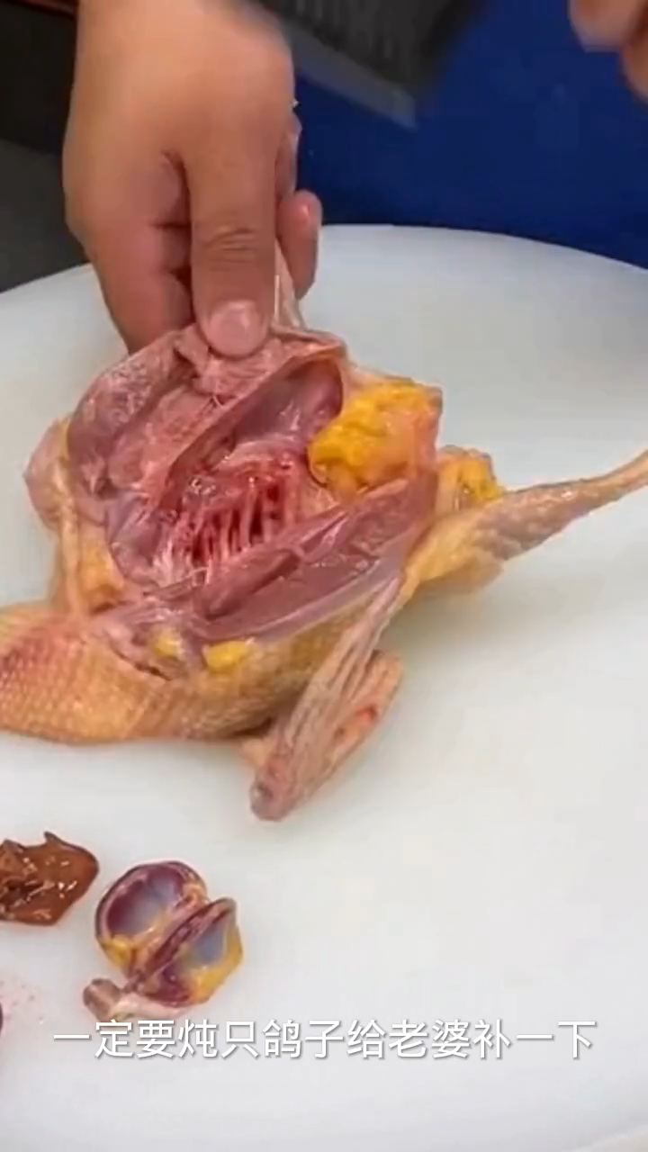 炖鸽子的家常做法