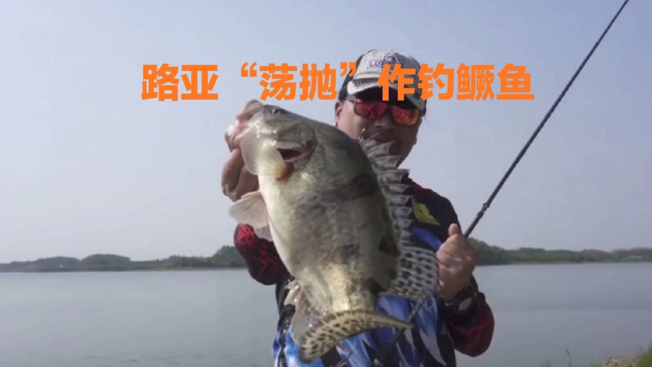 #路亚鳜鱼#长江岸边路亚“荡抛”作钓鳜鱼,软饵、硬饵、反应饵,哪种好钓?