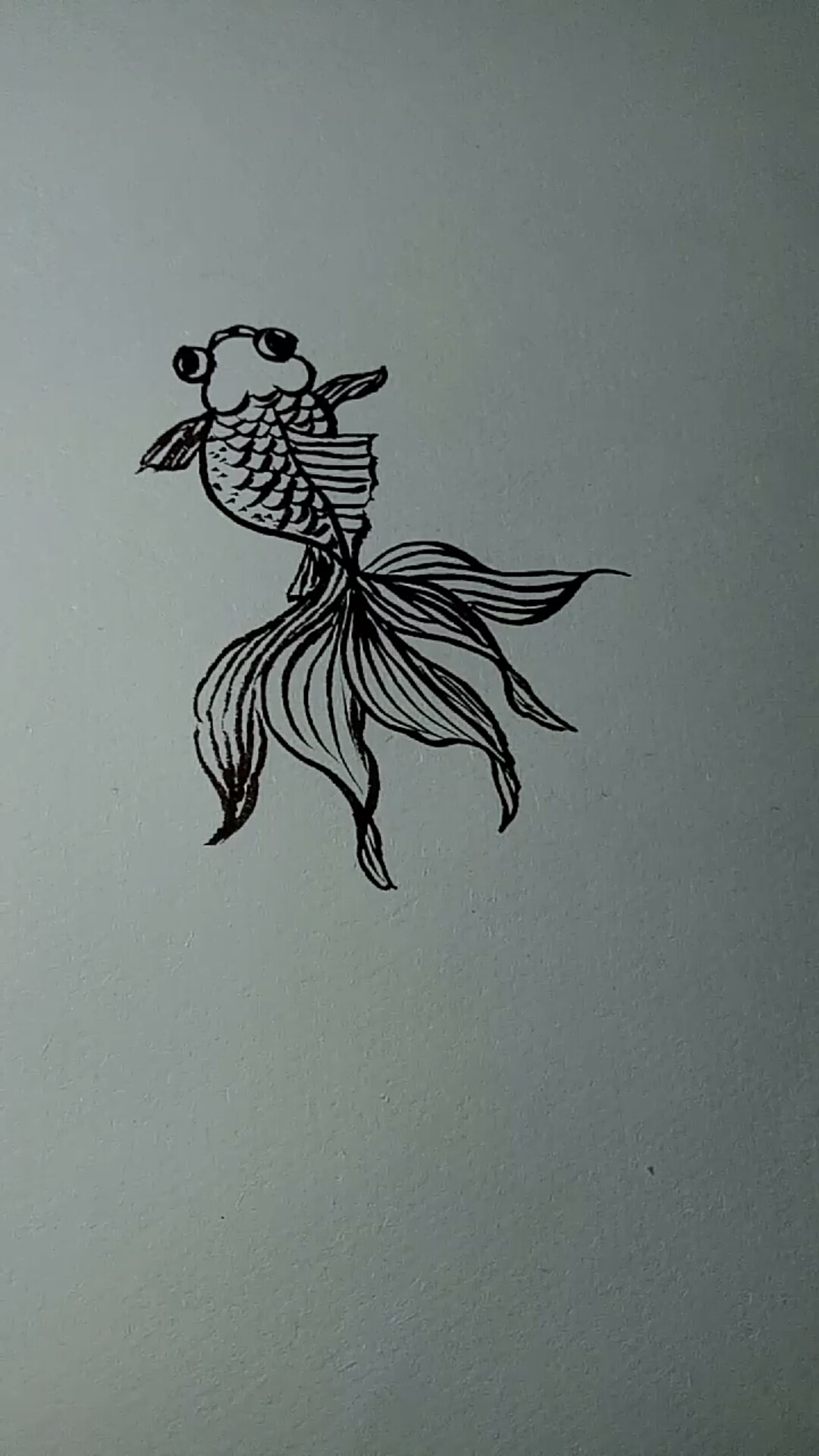 #一看就会的白描画#金鱼白描画法教程