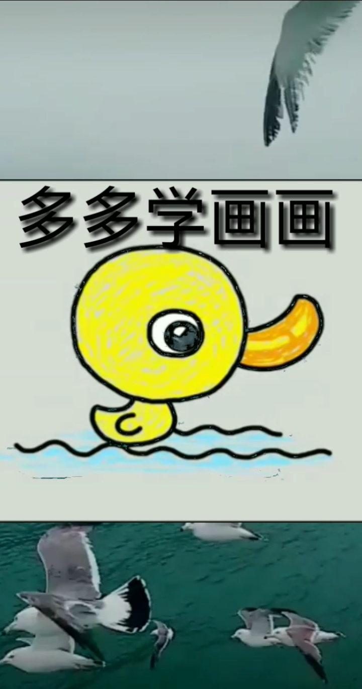 #可爱的小鸭#