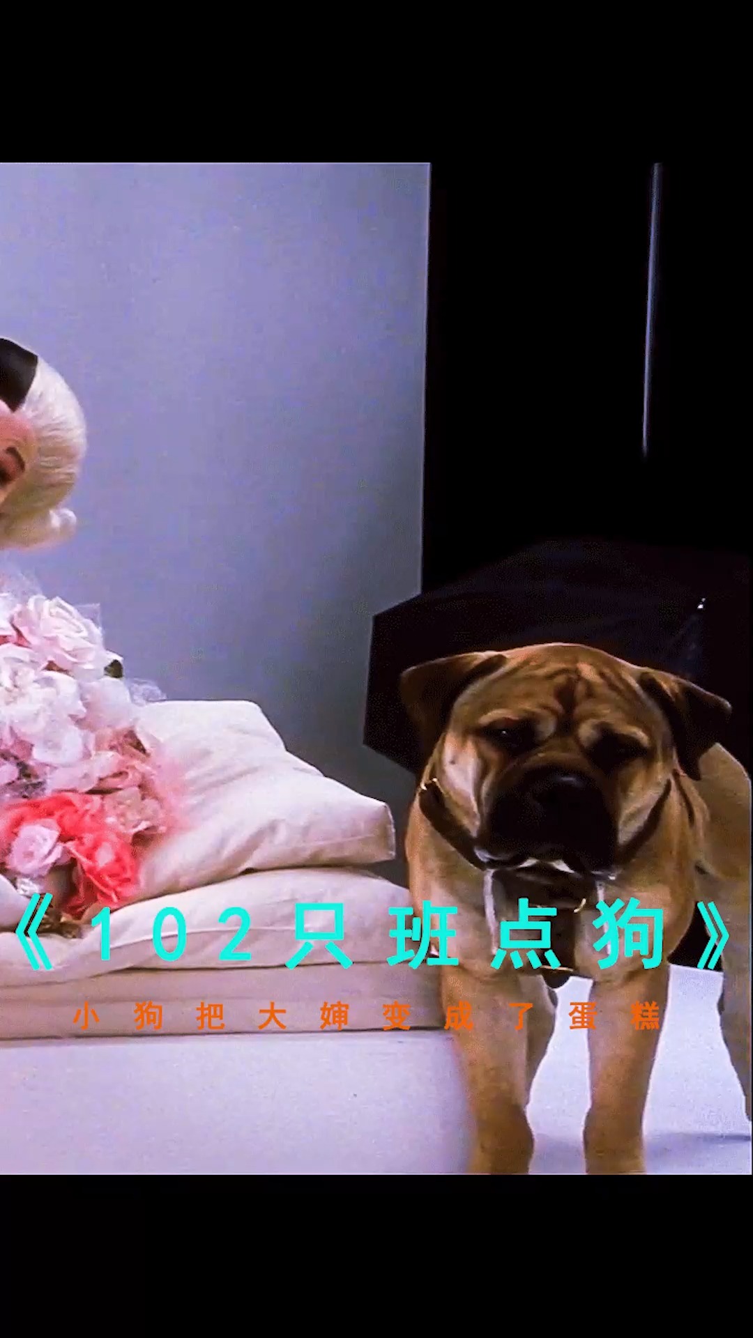 #电影解说#小狗把大婶做成了蛋糕