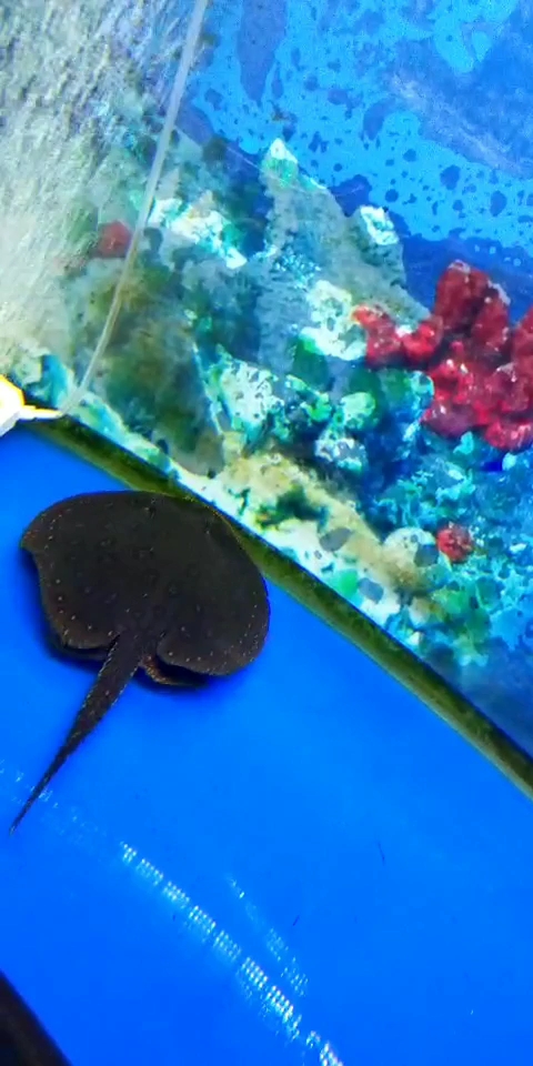 分享视频