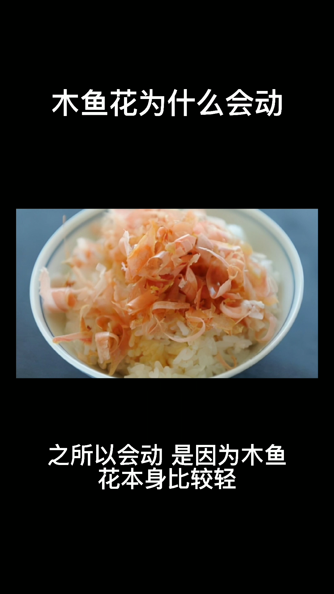 木鱼花为什么会动