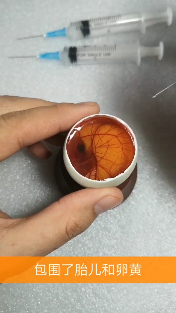 小生命第九天,长大了好多