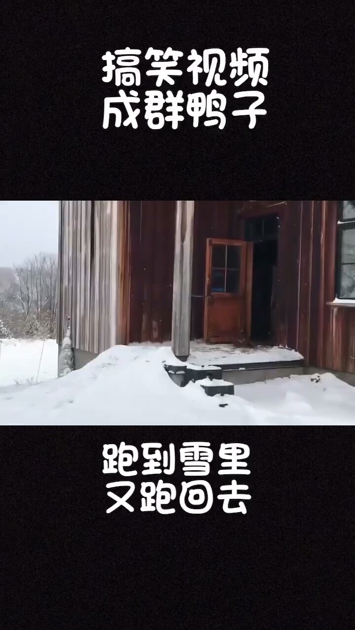 笑到你肚子疼