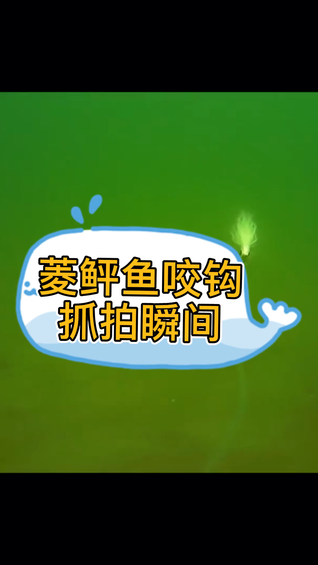 抓拍菱鲆鱼咬钩瞬间,为了口吃的也是拼尽全力
