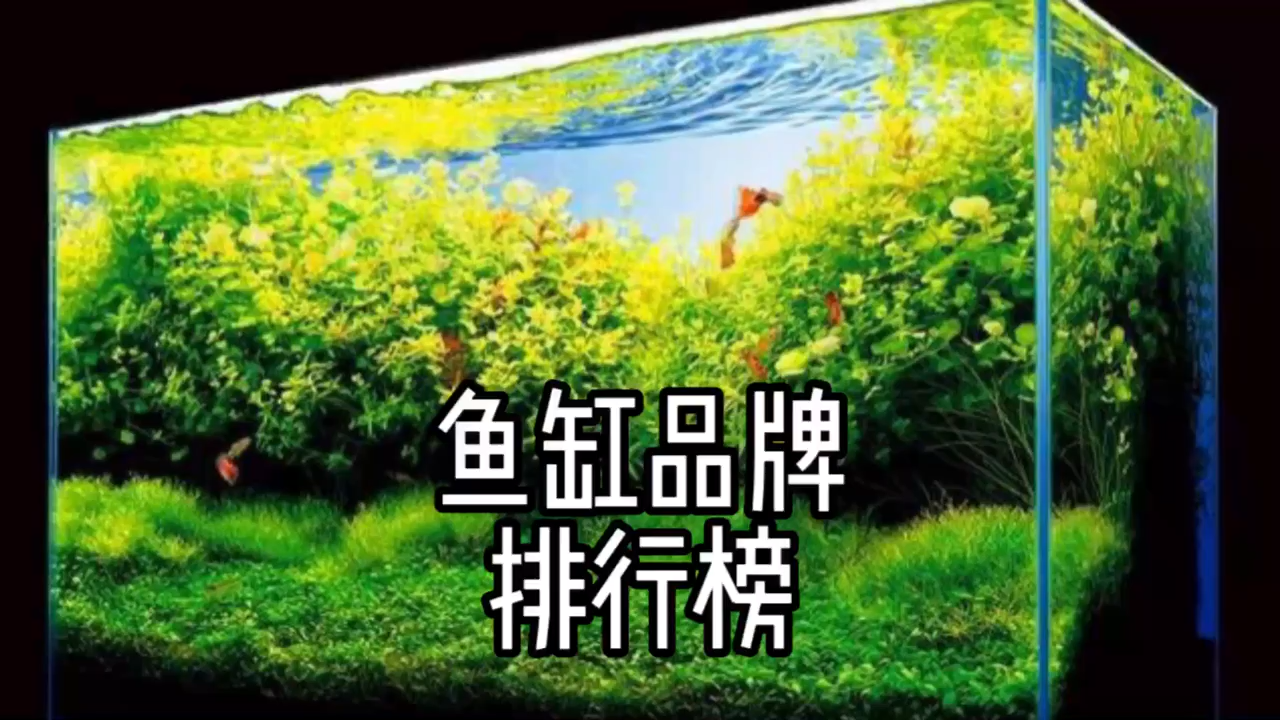 鱼缸十大名牌排行榜