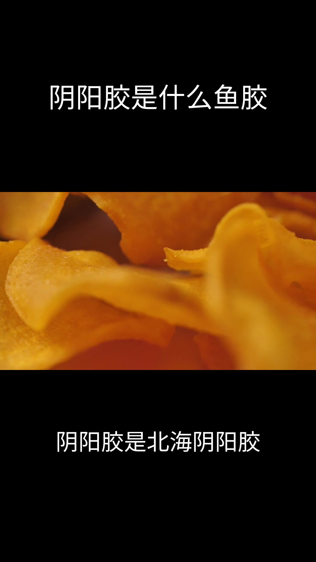 阴阳胶是什么鱼胶