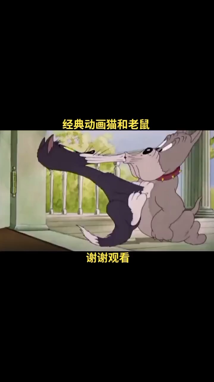 童年动画片猫和老鼠