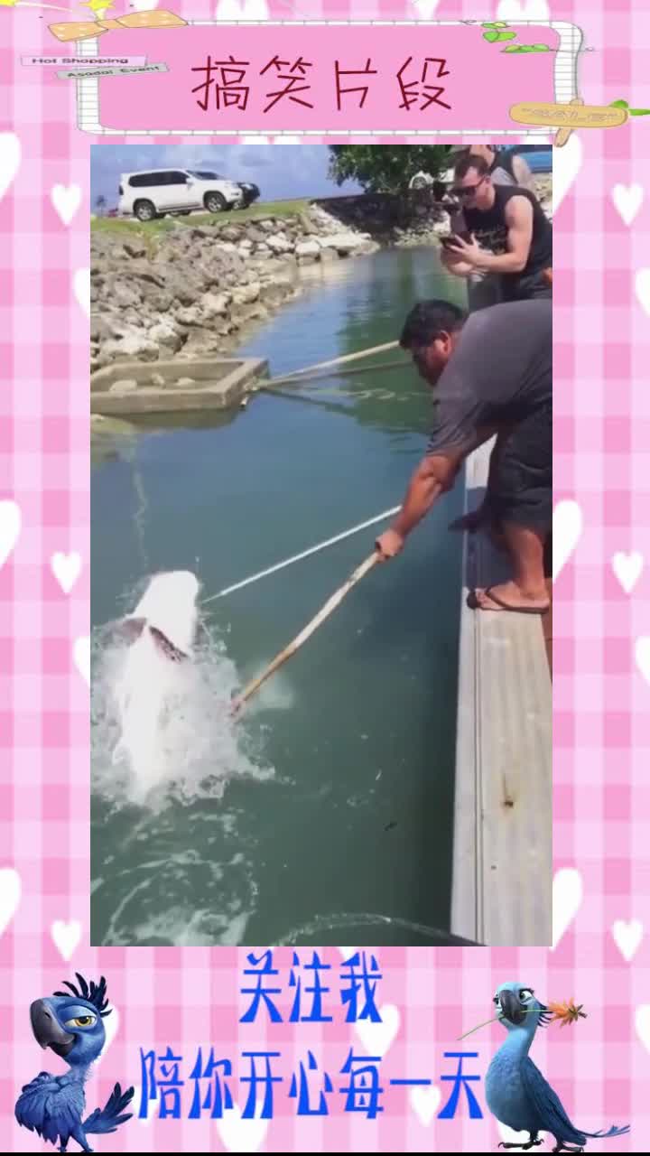 看老外怎么钓鱼的,跟我们很不一样!连鱼竿都不用。,搞笑段子