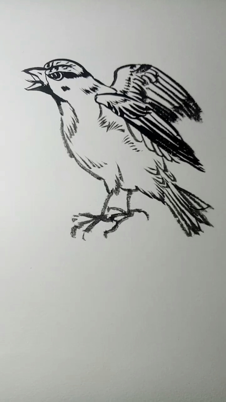 画只愤怒的小鸟